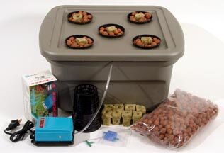 EZ Hydroponics Kit