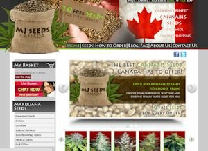 MJ Seeds Canada MJ Seeds Canada