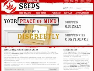 Single Marijuana Seeds Canada
